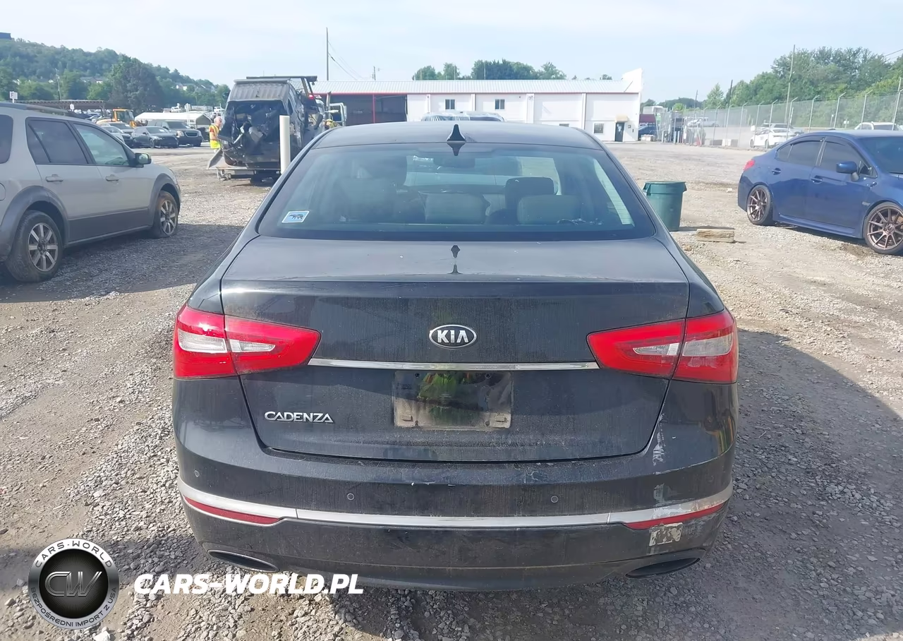 2014 Kia Cadenza Premium VIN:KNALN4D70E5166930 - 16