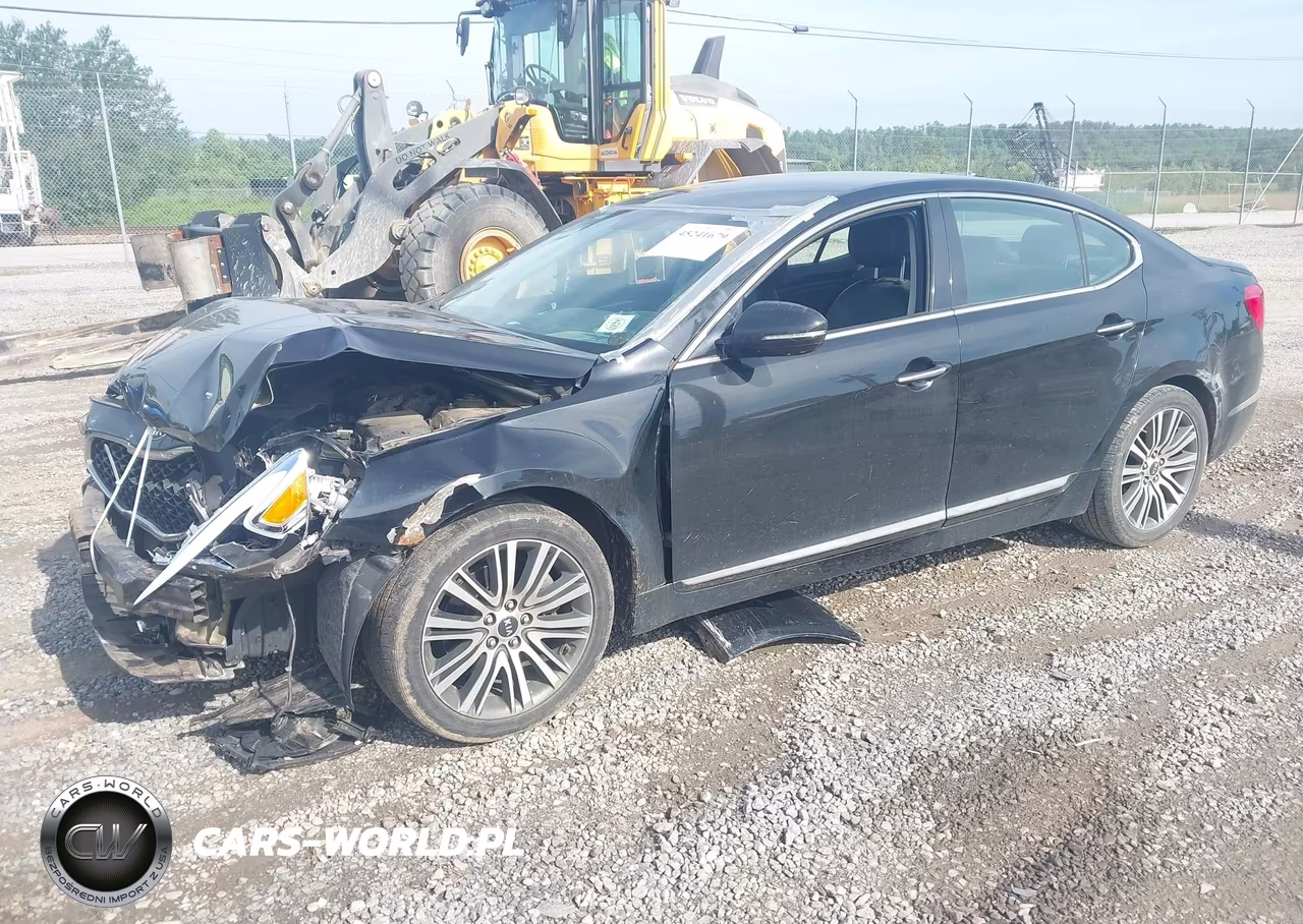 2014 Kia Cadenza Premium VIN:KNALN4D70E5166930 - 2