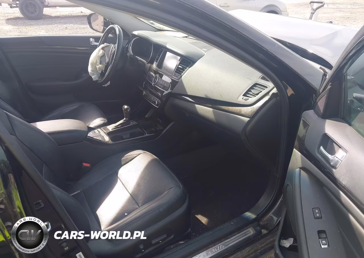 2014 Kia Cadenza Premium VIN:KNALN4D70E5166930 - 5