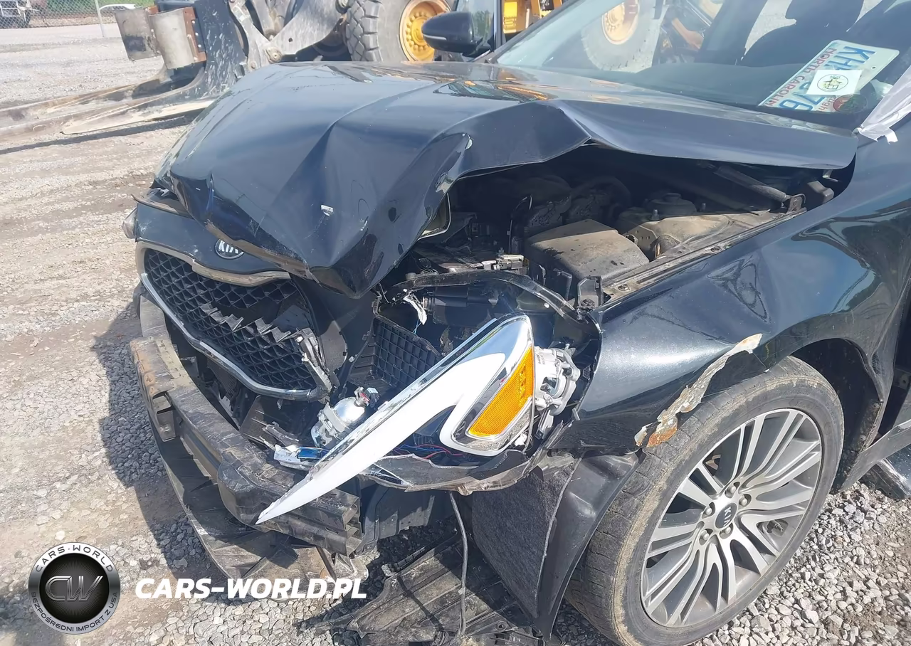 2014 Kia Cadenza Premium VIN:KNALN4D70E5166930 - 6