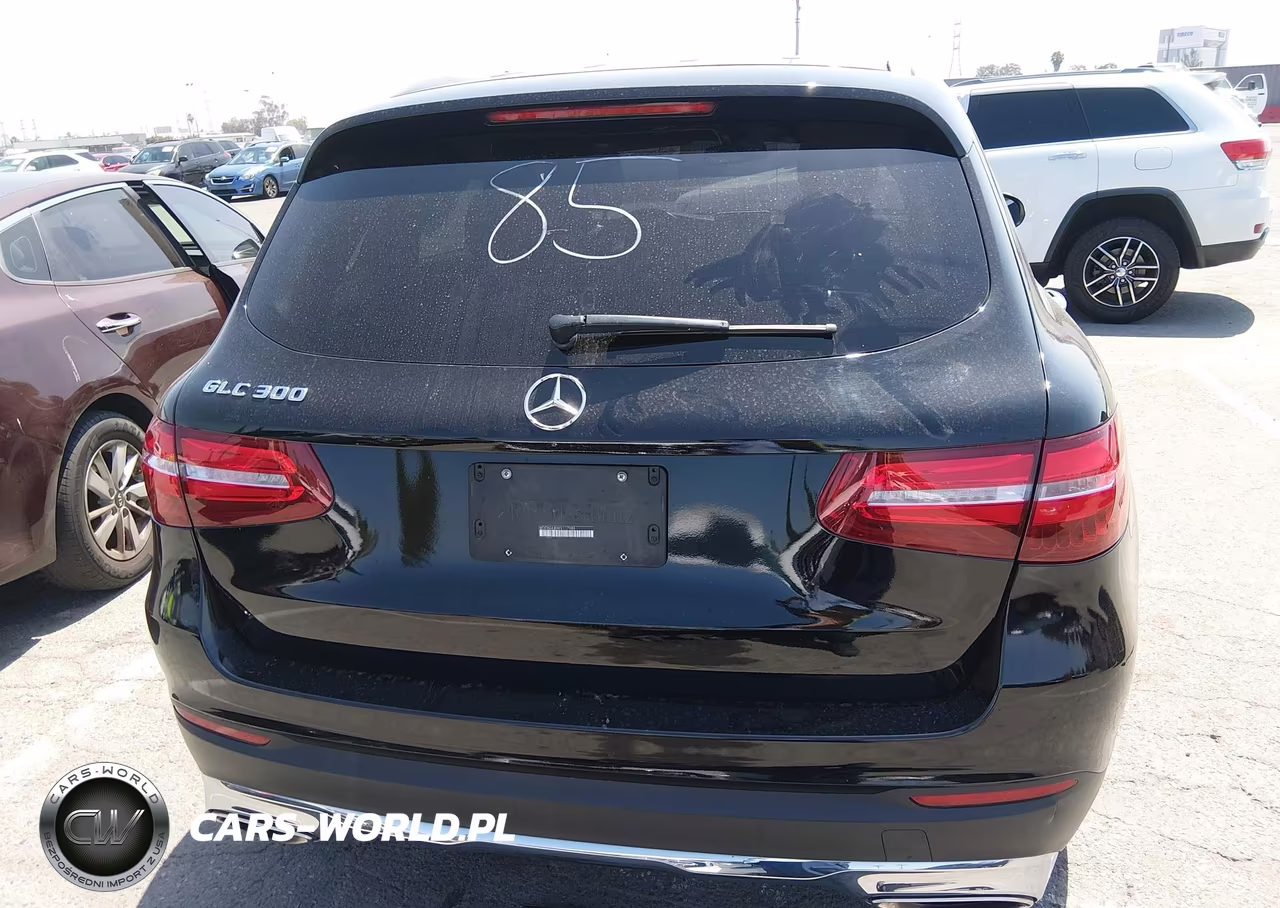 2019 Mercedes-Benz Glc 300 VIN:WDC0G4JBXKV117989 - 16