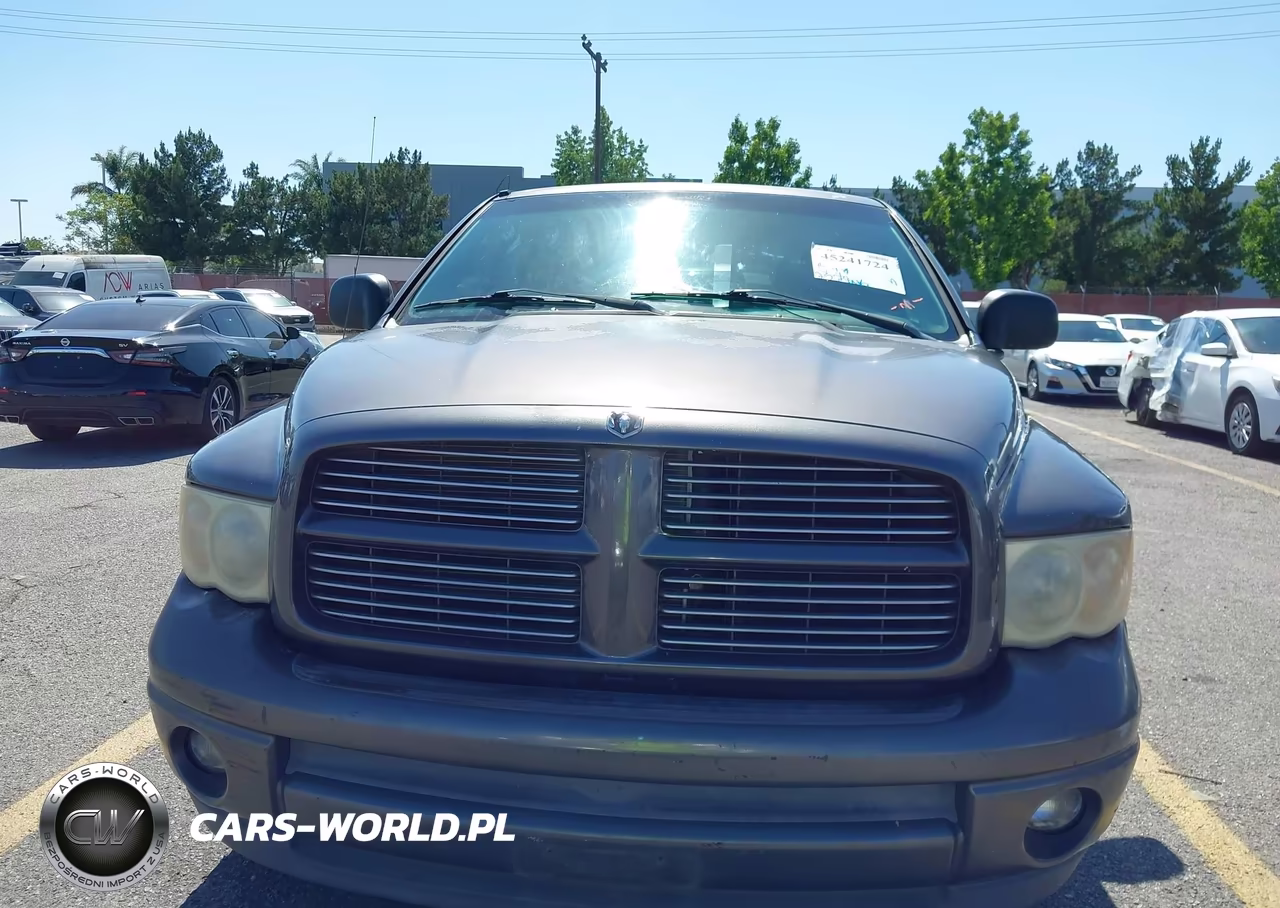 2002 Dodge Ram 1500 St VIN:1D7HA16N42J183611 - 12