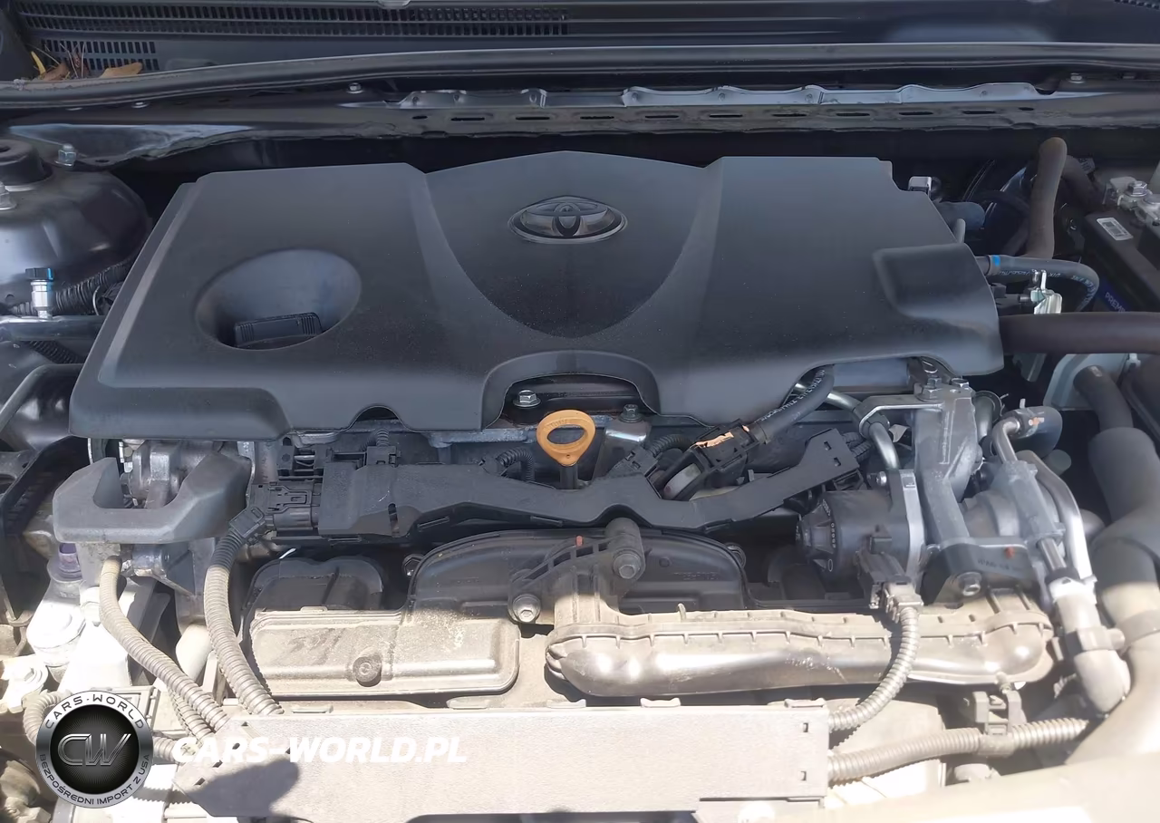 2020 Toyota Camry Le VIN:4T1C11AK4LU319555 - 10