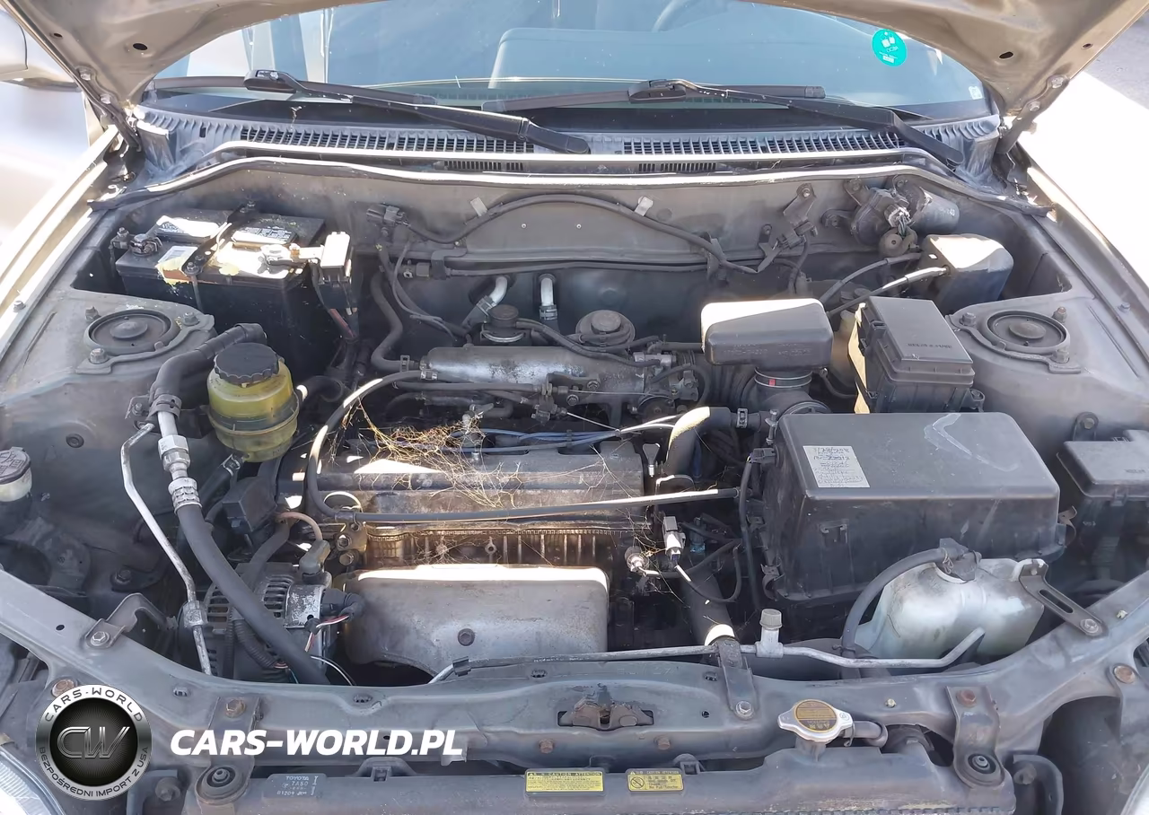 1999 Toyota Rav4 VIN:JT3GP10V0X7055582 - 10