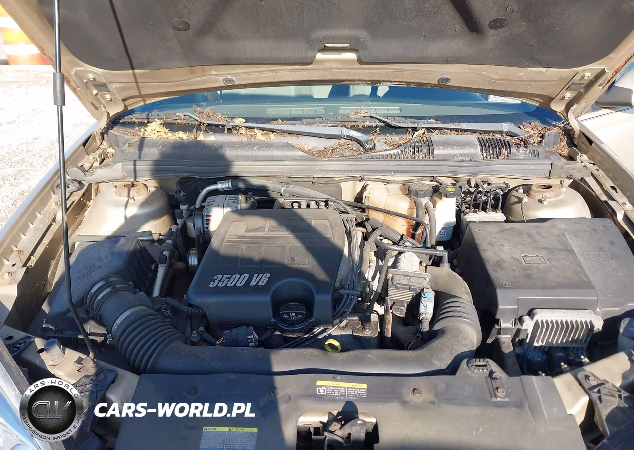2006 Chevrolet Malibu Lt VIN:1G1ZT51856F268511 - 10