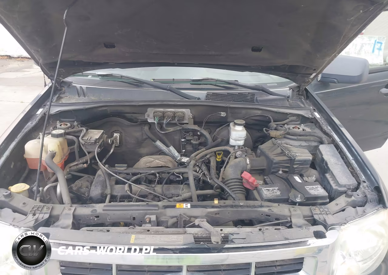 2008 Ford Escape Xlt VIN:1FMCU03Z68KA09566 - 10