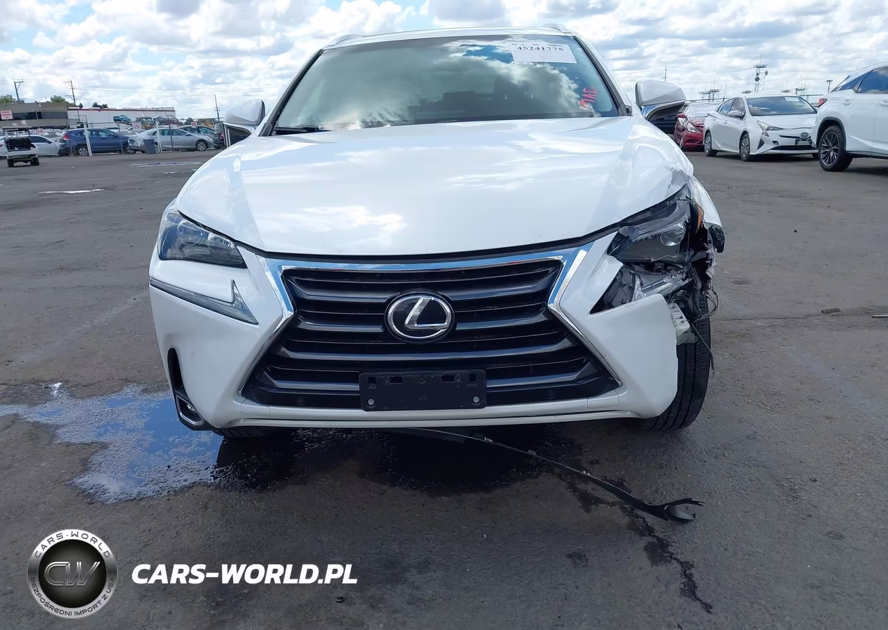 2017 Lexus Nx 200T VIN:JTJYARBZ3H2060898 - 13