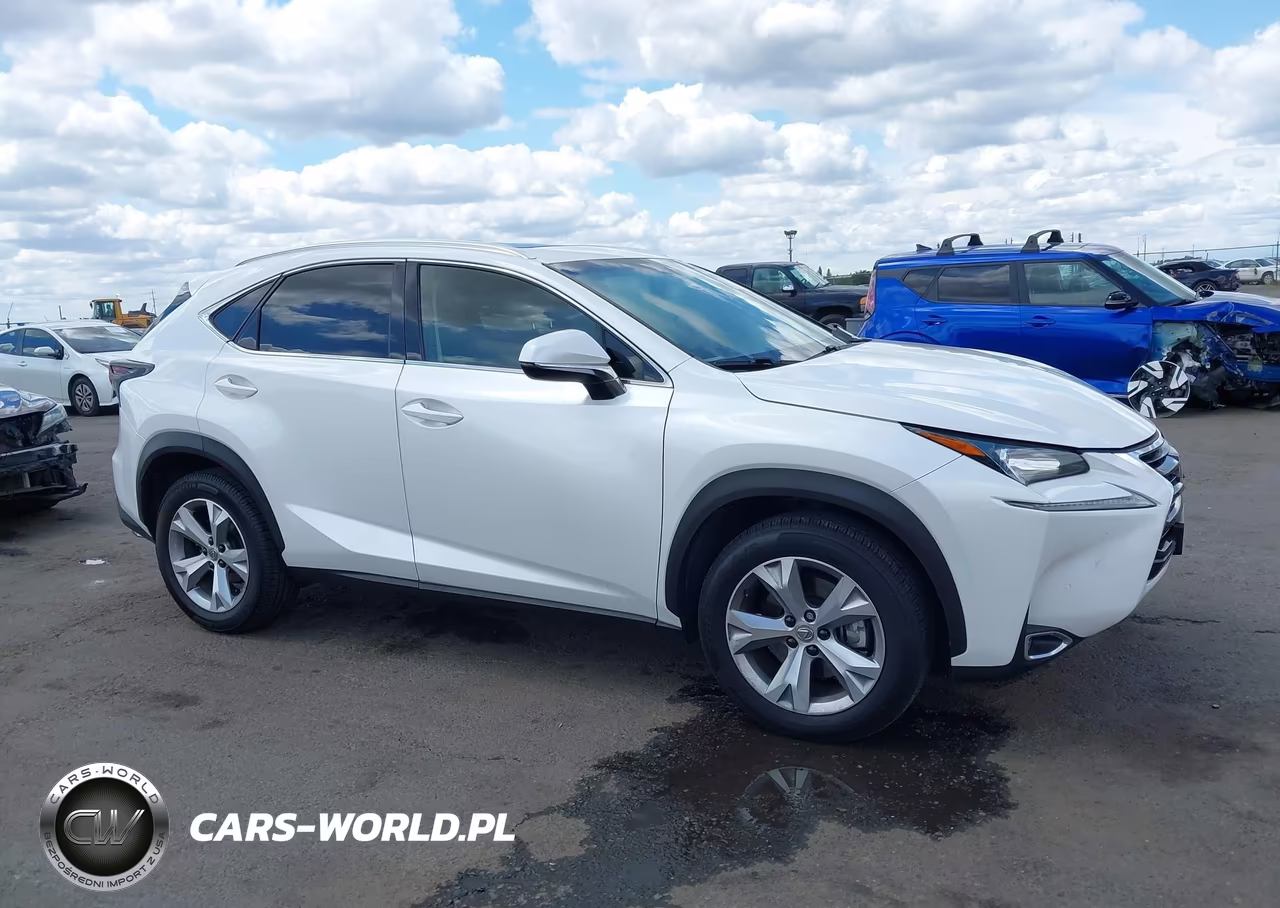 2017 Lexus Nx 200T VIN:JTJYARBZ3H2060898 - 14