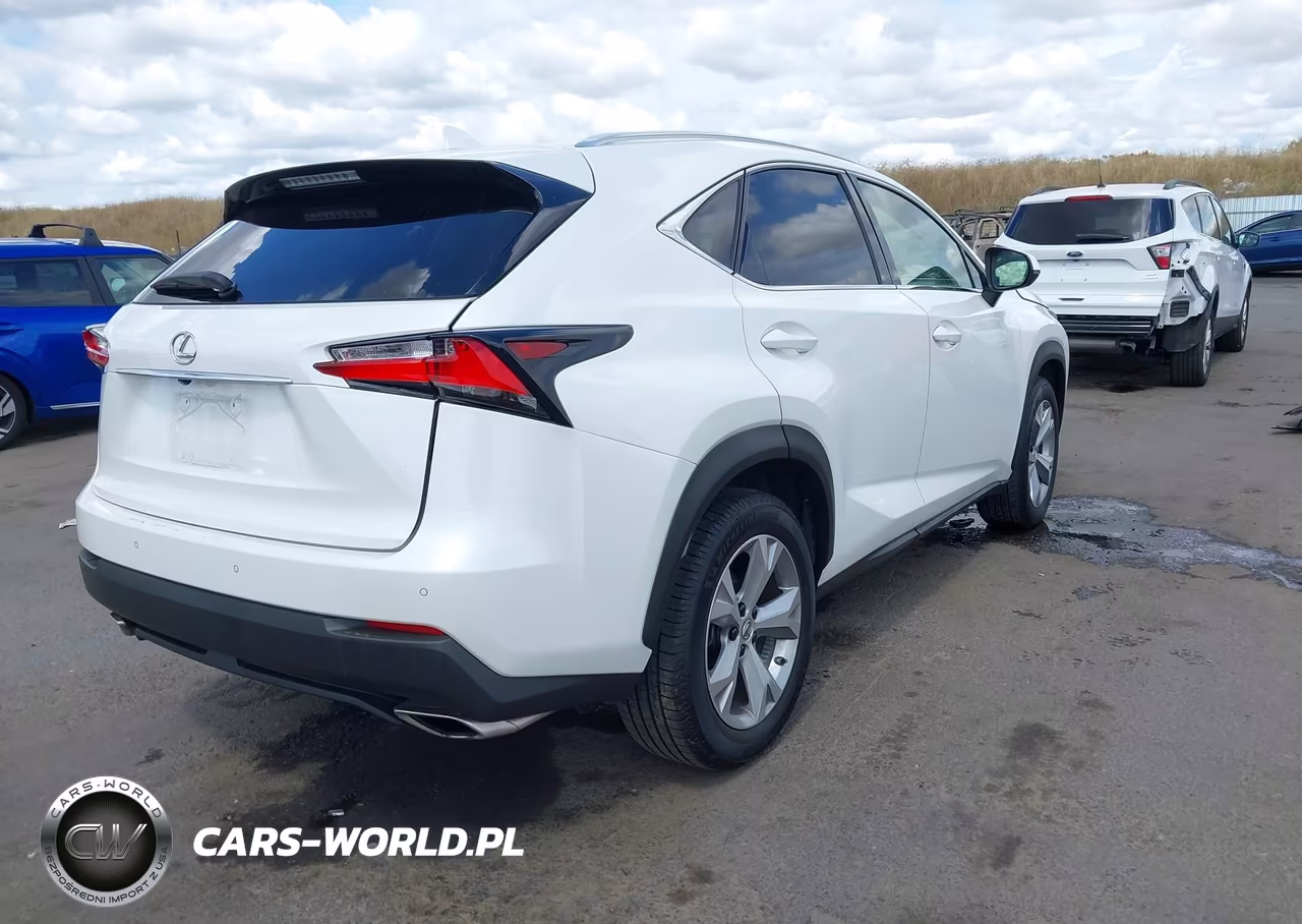 2017 Lexus Nx 200T VIN:JTJYARBZ3H2060898 - 4