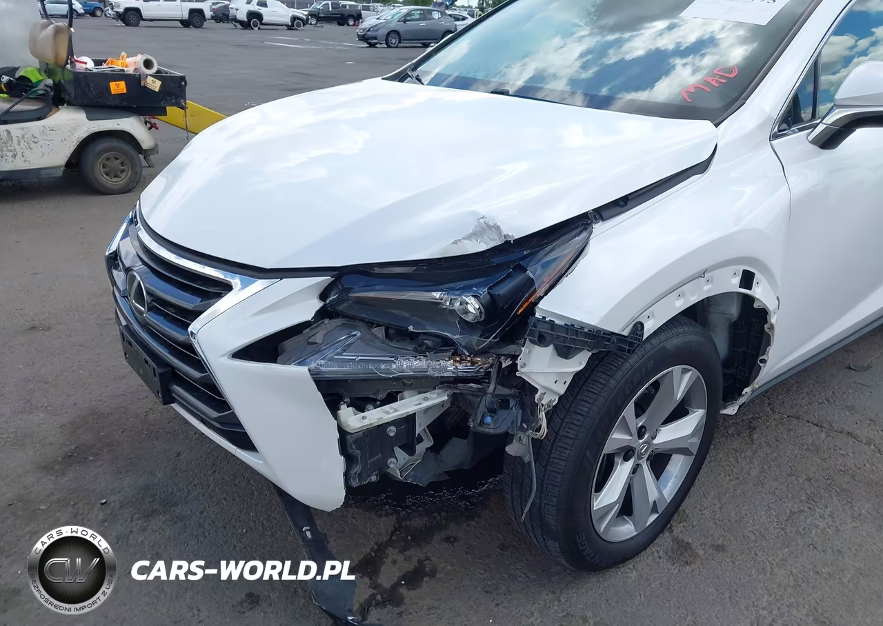 2017 Lexus Nx 200T VIN:JTJYARBZ3H2060898 - 6