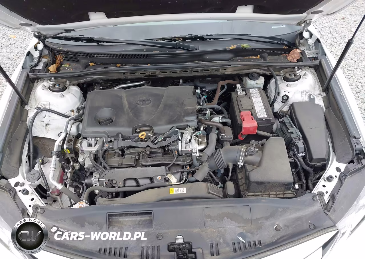2019 Toyota Camry Le VIN:4T1B11HK7KU199802 - 10