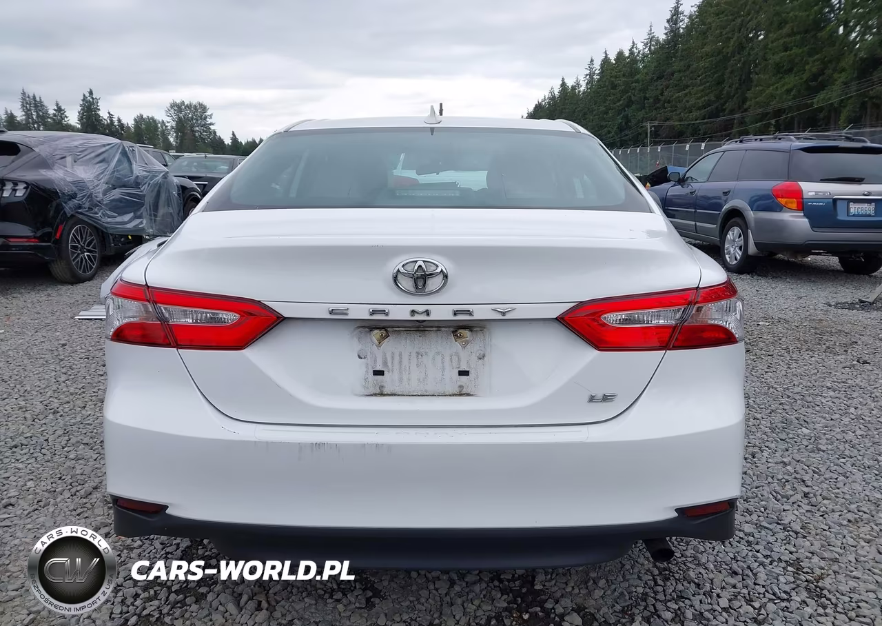 2019 Toyota Camry Le VIN:4T1B11HK7KU199802 - 17