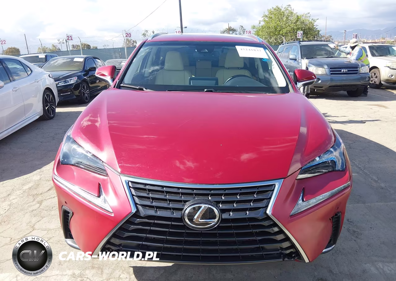 2018 Lexus Nx 300 Base VIN:JTJBARBZ7J2174107 - 11