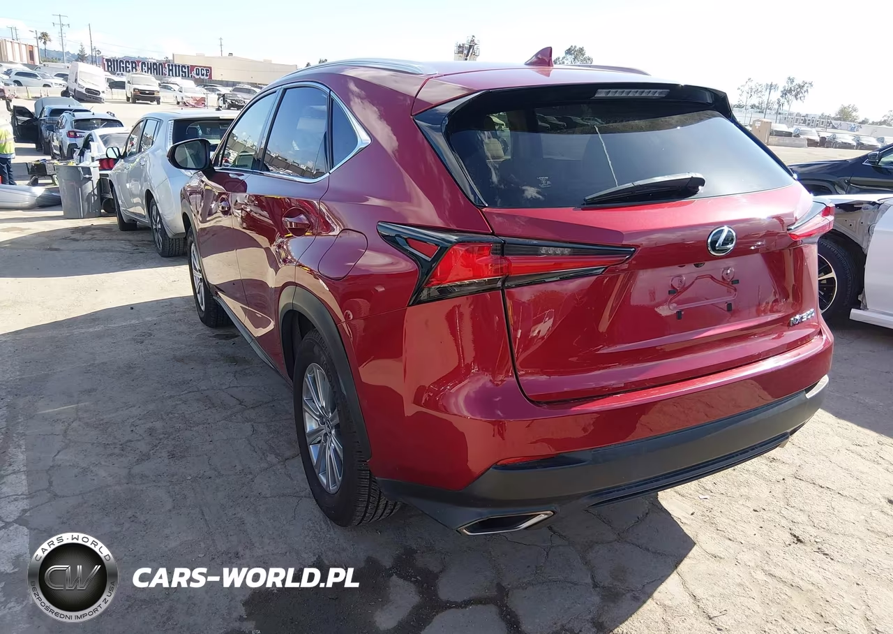 2018 Lexus Nx 300 Base VIN:JTJBARBZ7J2174107 - 3