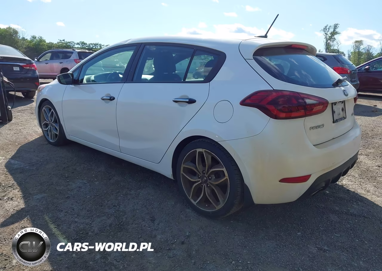 2016 Kia Forte Sx VIN:KNAFZ5A34G5626361 - 3
