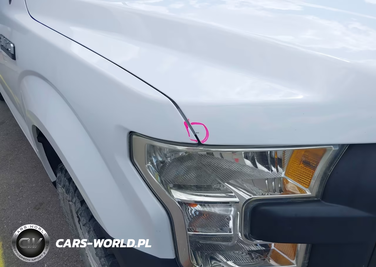 2017 Ford F-150 Xl VIN:1FTEW1E89HKD63616 - 14