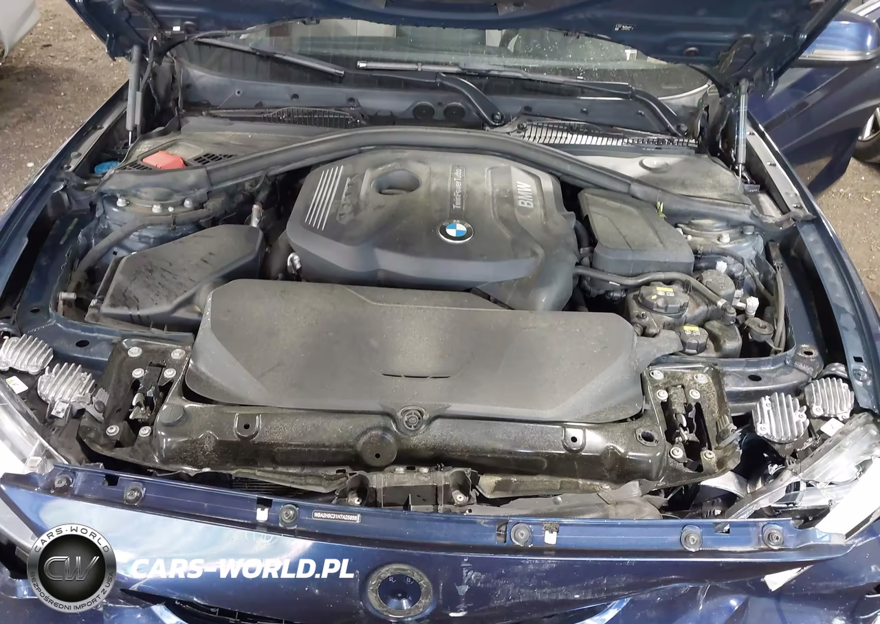 2017 BMW 230I xDrive VIN:WBA2H9C31H7A25858 - 10