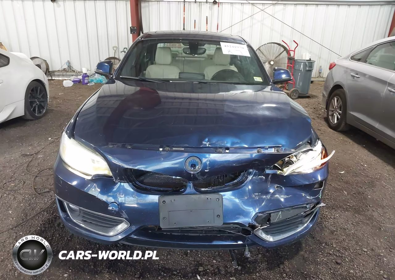 2017 BMW 230I xDrive VIN:WBA2H9C31H7A25858 - 12