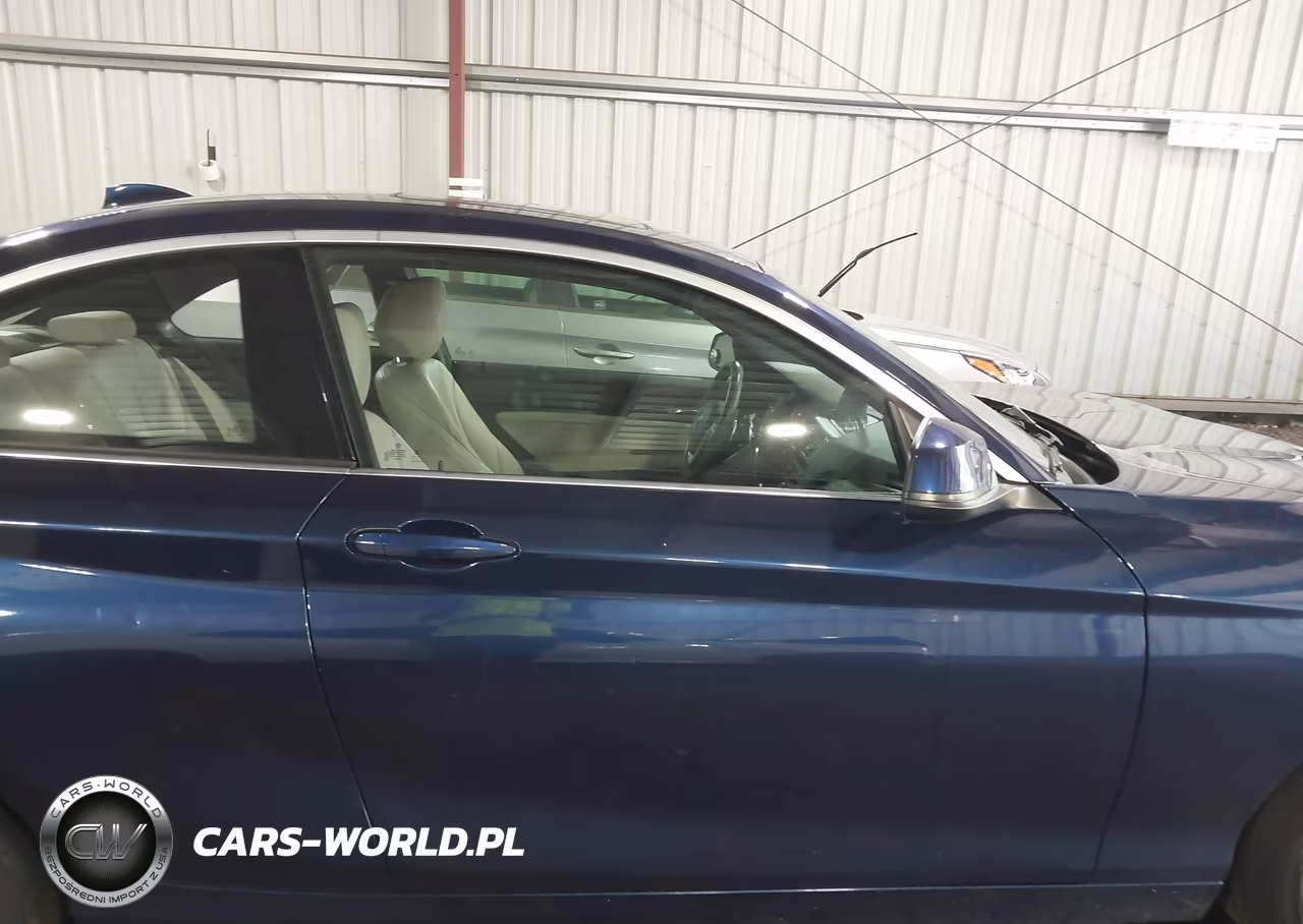 2017 BMW 230I xDrive VIN:WBA2H9C31H7A25858 - 13
