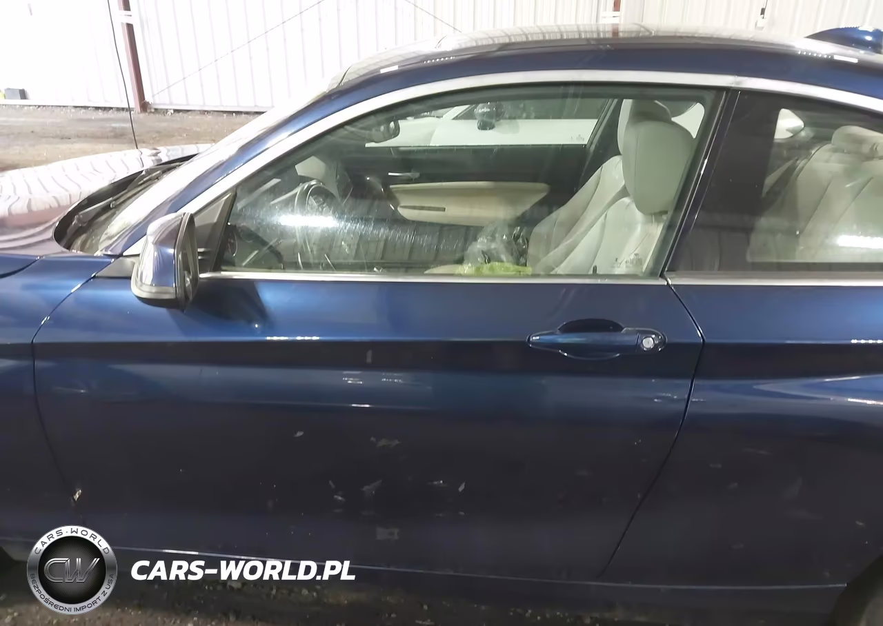 2017 BMW 230I xDrive VIN:WBA2H9C31H7A25858 - 14