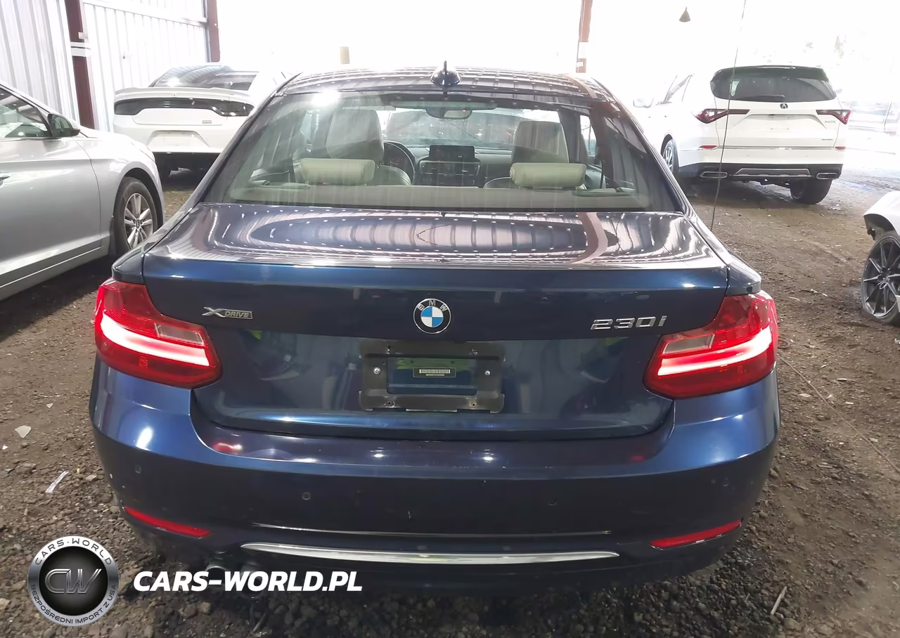 2017 BMW 230I xDrive VIN:WBA2H9C31H7A25858 - 16