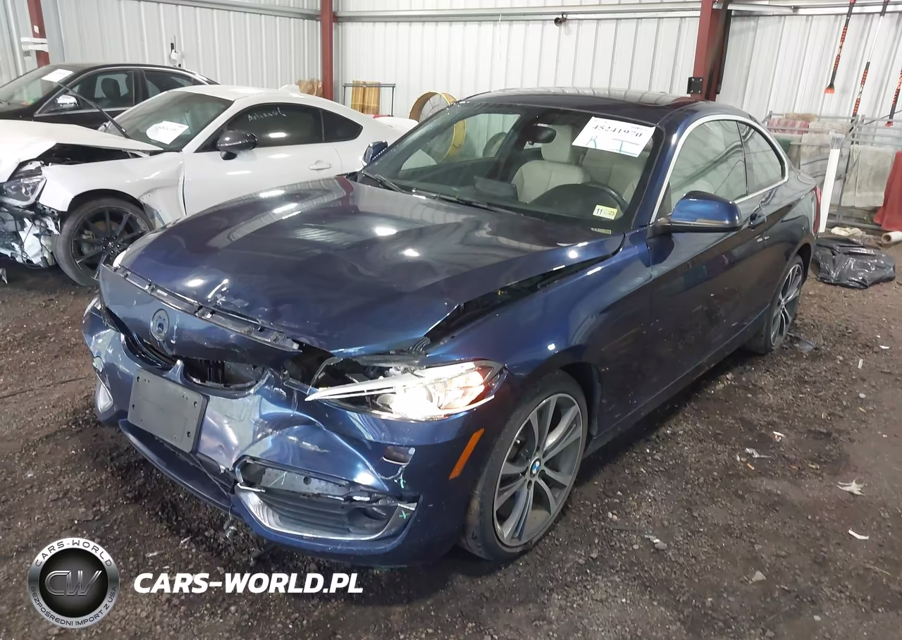 2017 BMW 230I xDrive VIN:WBA2H9C31H7A25858 - 2