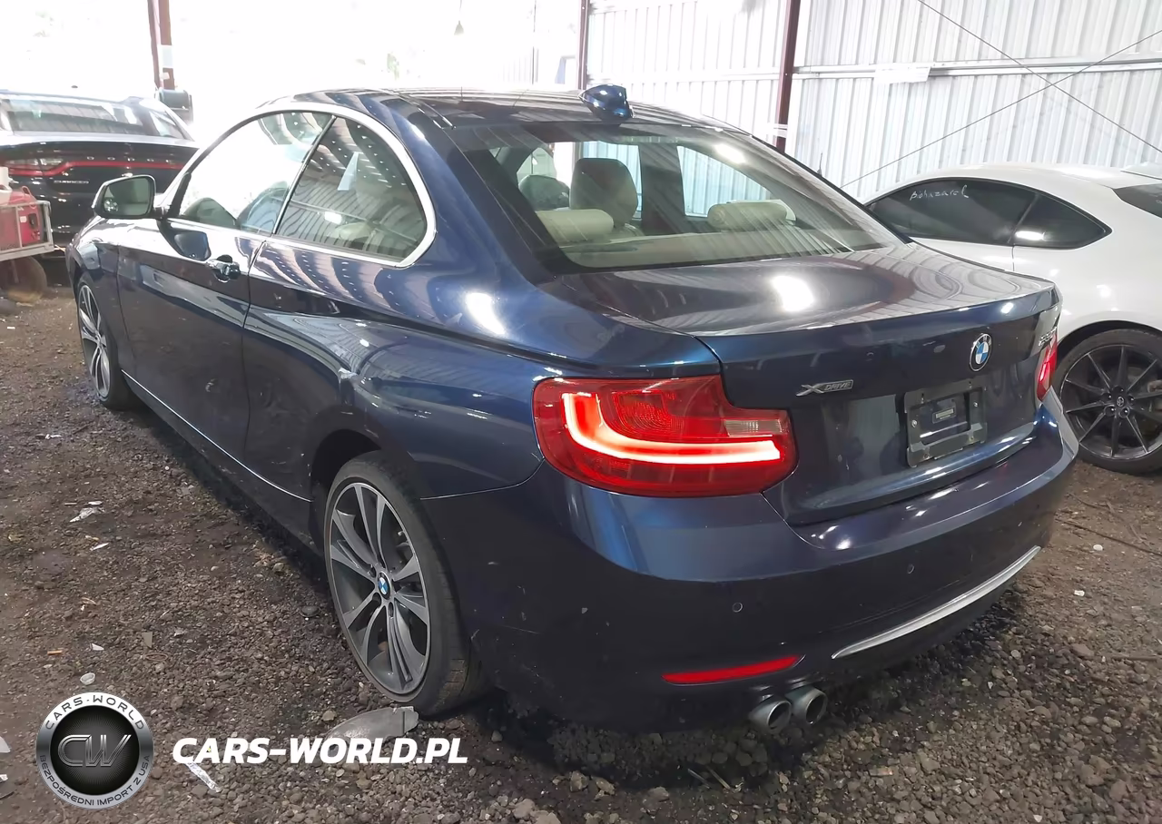 2017 BMW 230I xDrive VIN:WBA2H9C31H7A25858 - 3