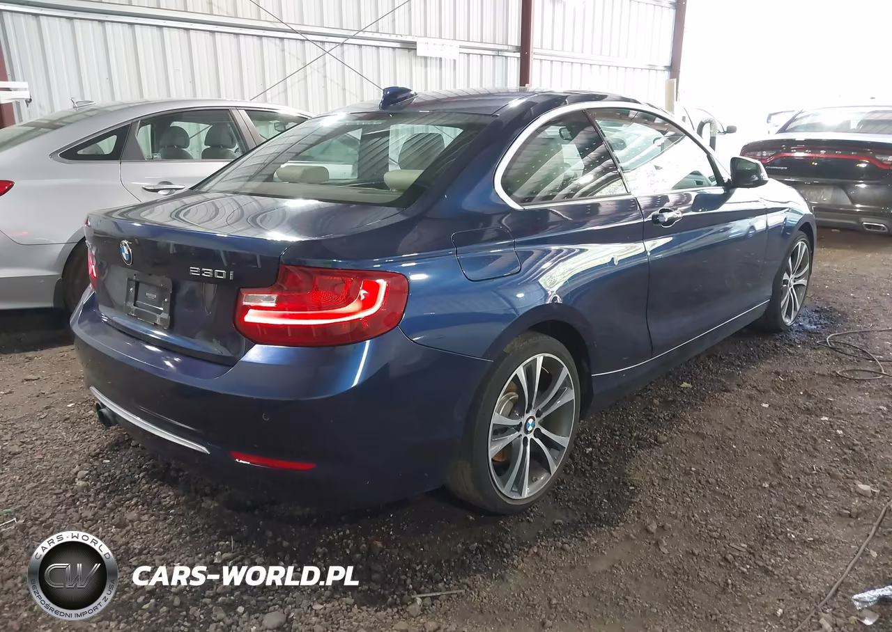 2017 BMW 230I xDrive VIN:WBA2H9C31H7A25858 - 4