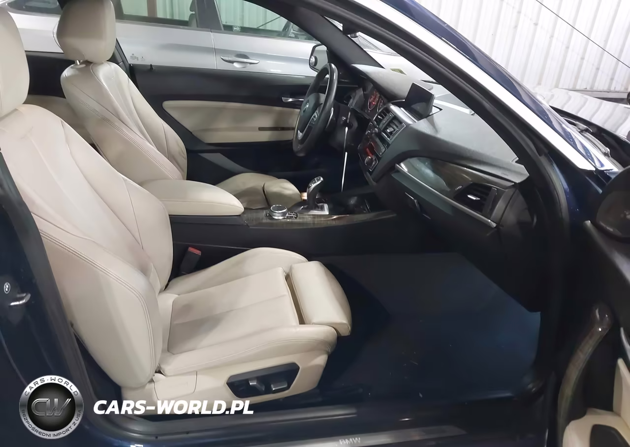 2017 BMW 230I xDrive VIN:WBA2H9C31H7A25858 - 5