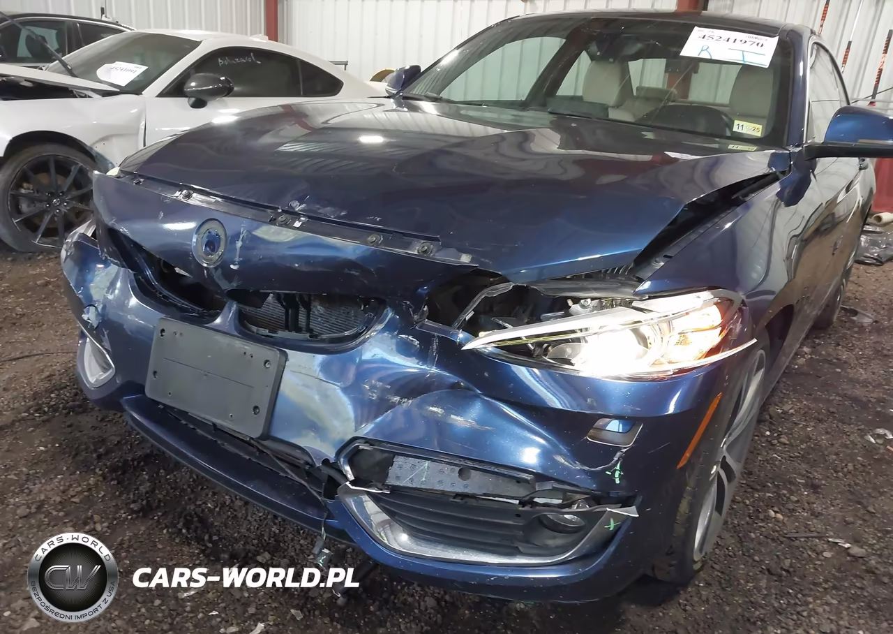 2017 BMW 230I xDrive VIN:WBA2H9C31H7A25858 - 6