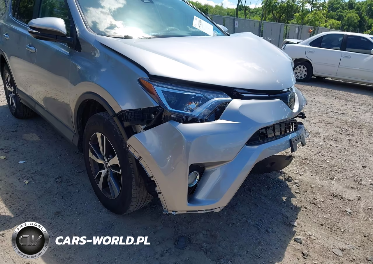 2018 Toyota Rav4 Xle VIN:2T3WFREV5JW474721 - 18