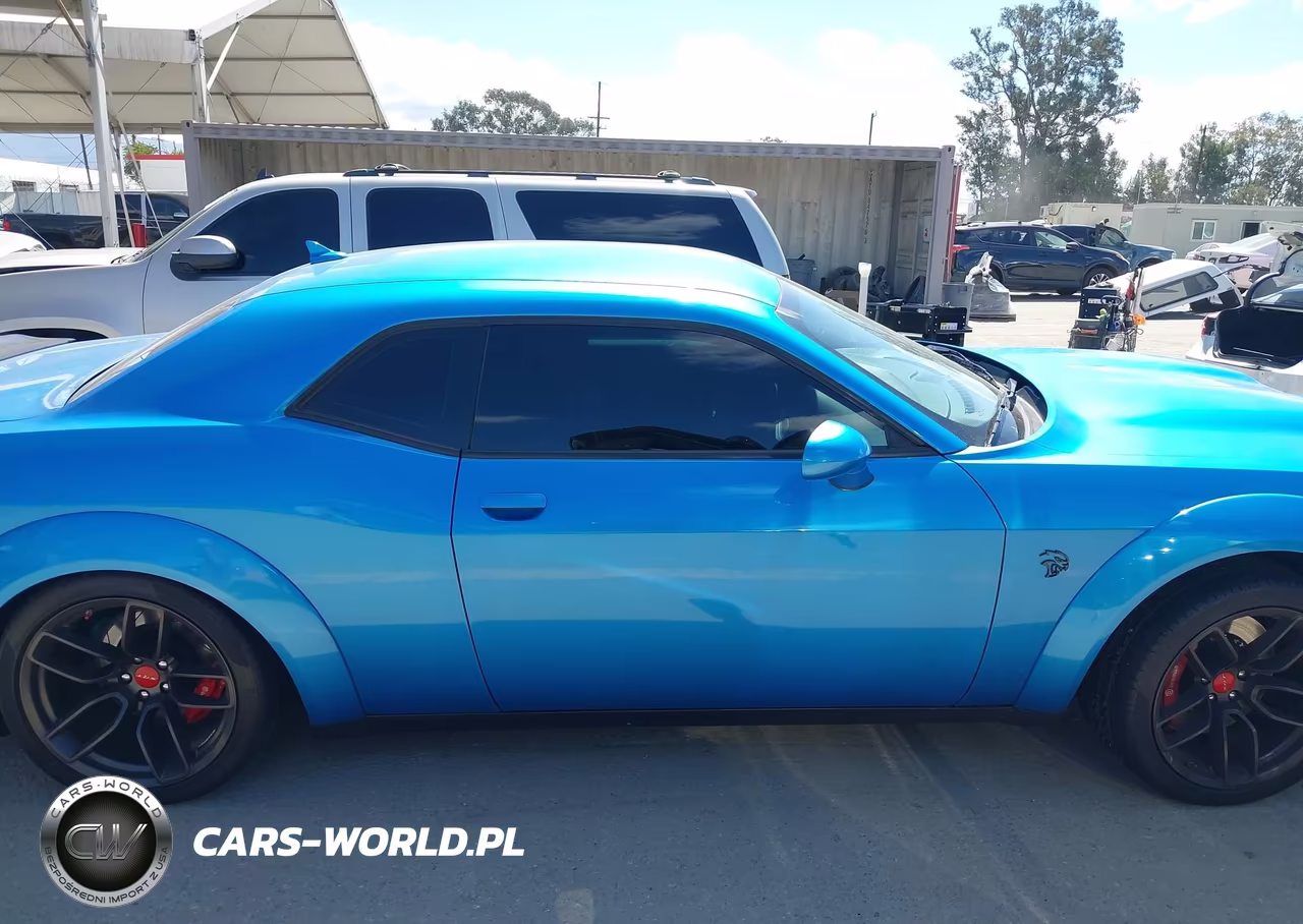2019 Dodge Challenger Srt Hellcat Redeye Widebody VIN:2C3CDZL90KH739422 - 14