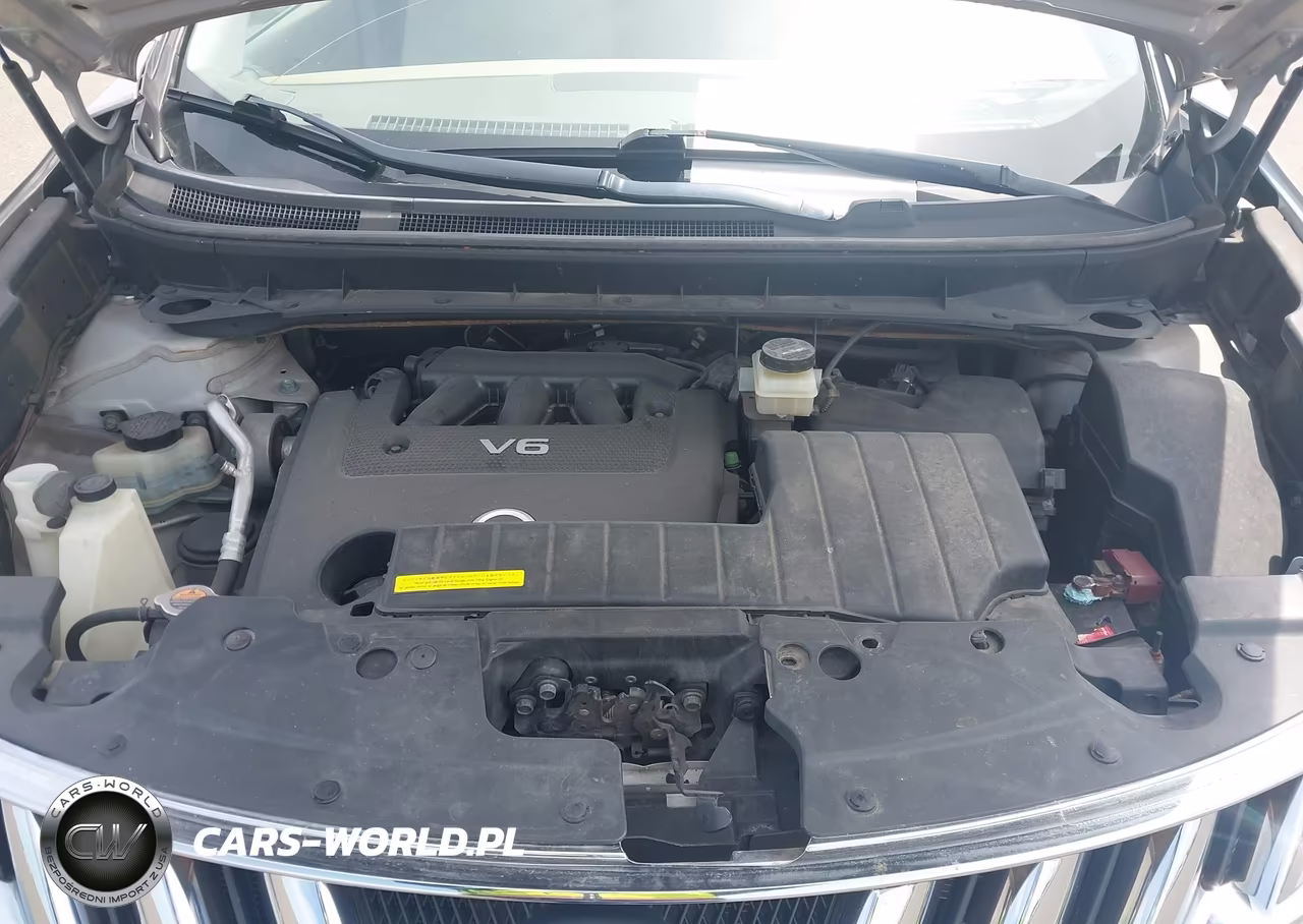 2010 Nissan Murano Le VIN:JN8AZ1MW3AW140321 - 10
