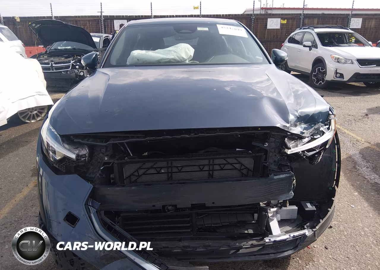 2024 Polestar 2 Long Range Dual Motor-Long Range Dual Motor Plus VIN:YSMFD3KA4RL231439 - 12