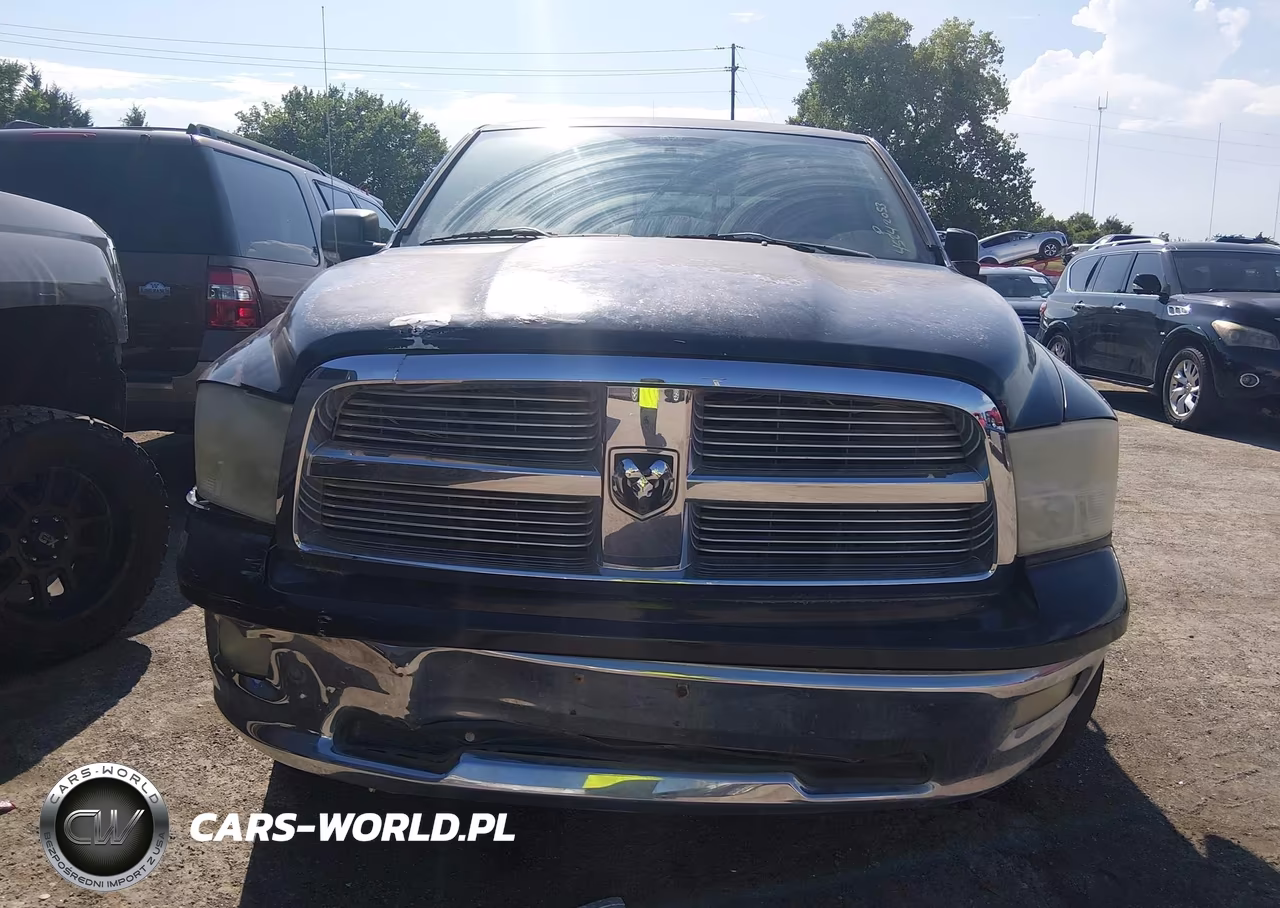 2010 Dodge Ram 1500 Slt-Sport-Trx VIN:1D7RB1GP5AS145038 - 13