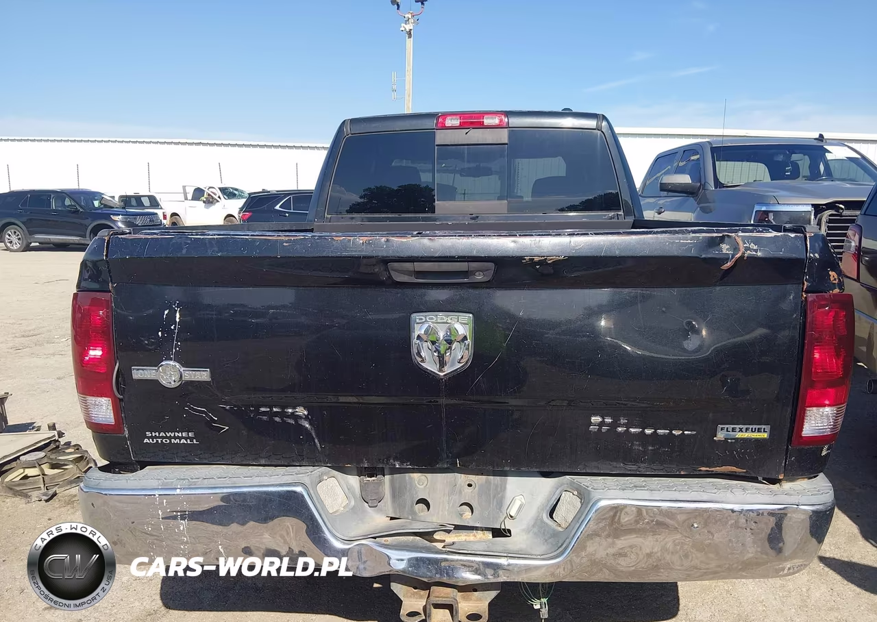 2010 Dodge Ram 1500 Slt-Sport-Trx VIN:1D7RB1GP5AS145038 - 17