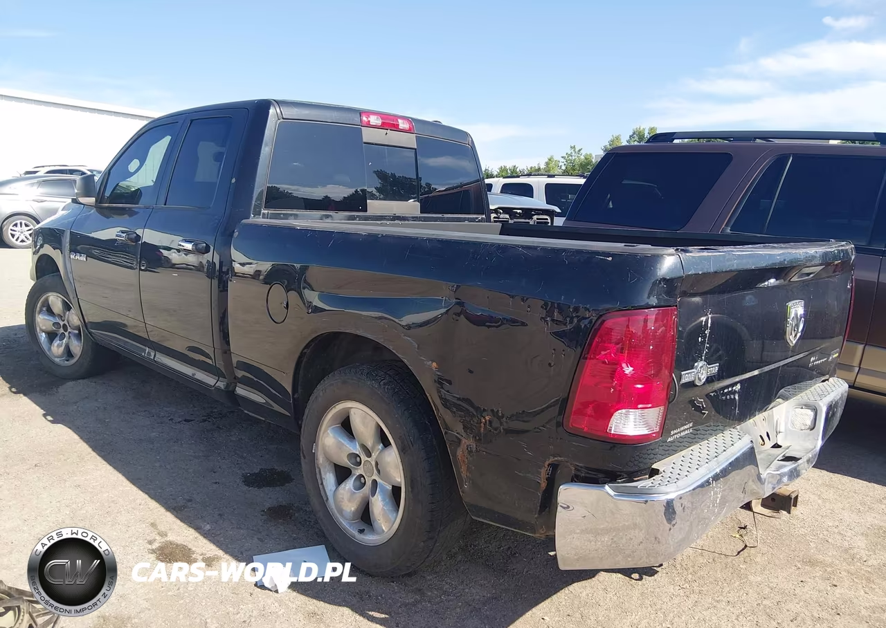 2010 Dodge Ram 1500 Slt-Sport-Trx VIN:1D7RB1GP5AS145038 - 3