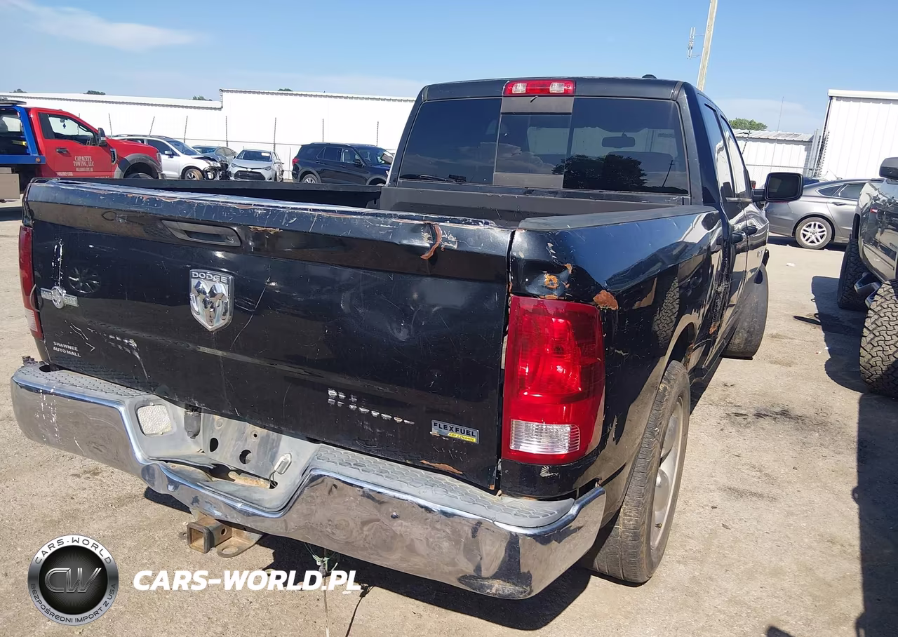 2010 Dodge Ram 1500 Slt-Sport-Trx VIN:1D7RB1GP5AS145038 - 4