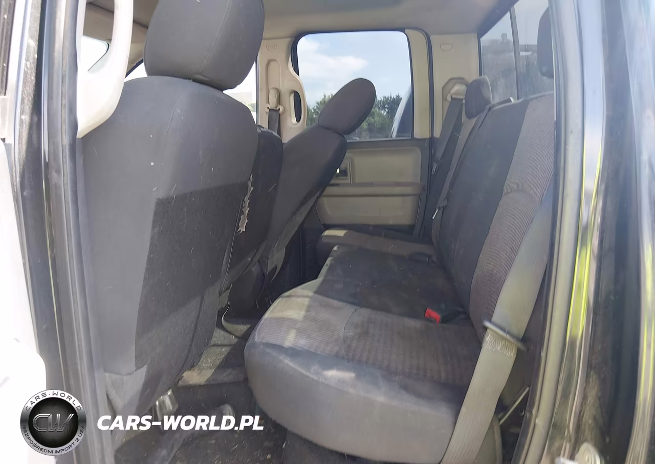 2010 Dodge Ram 1500 Slt-Sport-Trx VIN:1D7RB1GP5AS145038 - 8