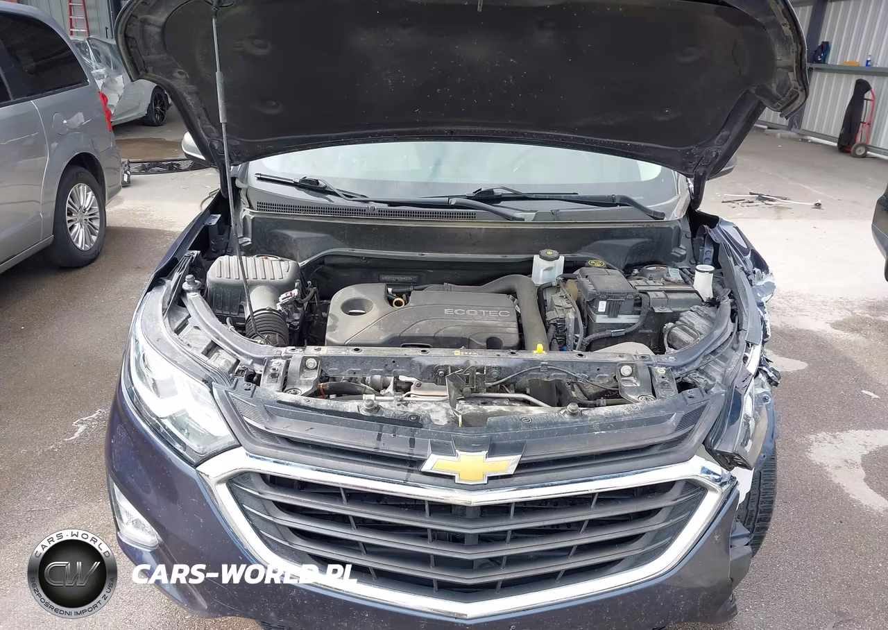 2019 Chevrolet Equinox Ls VIN:3GNAXHEV4KS544328 - 10