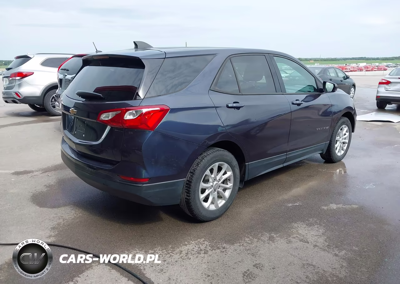 2019 Chevrolet Equinox Ls VIN:3GNAXHEV4KS544328 - 4