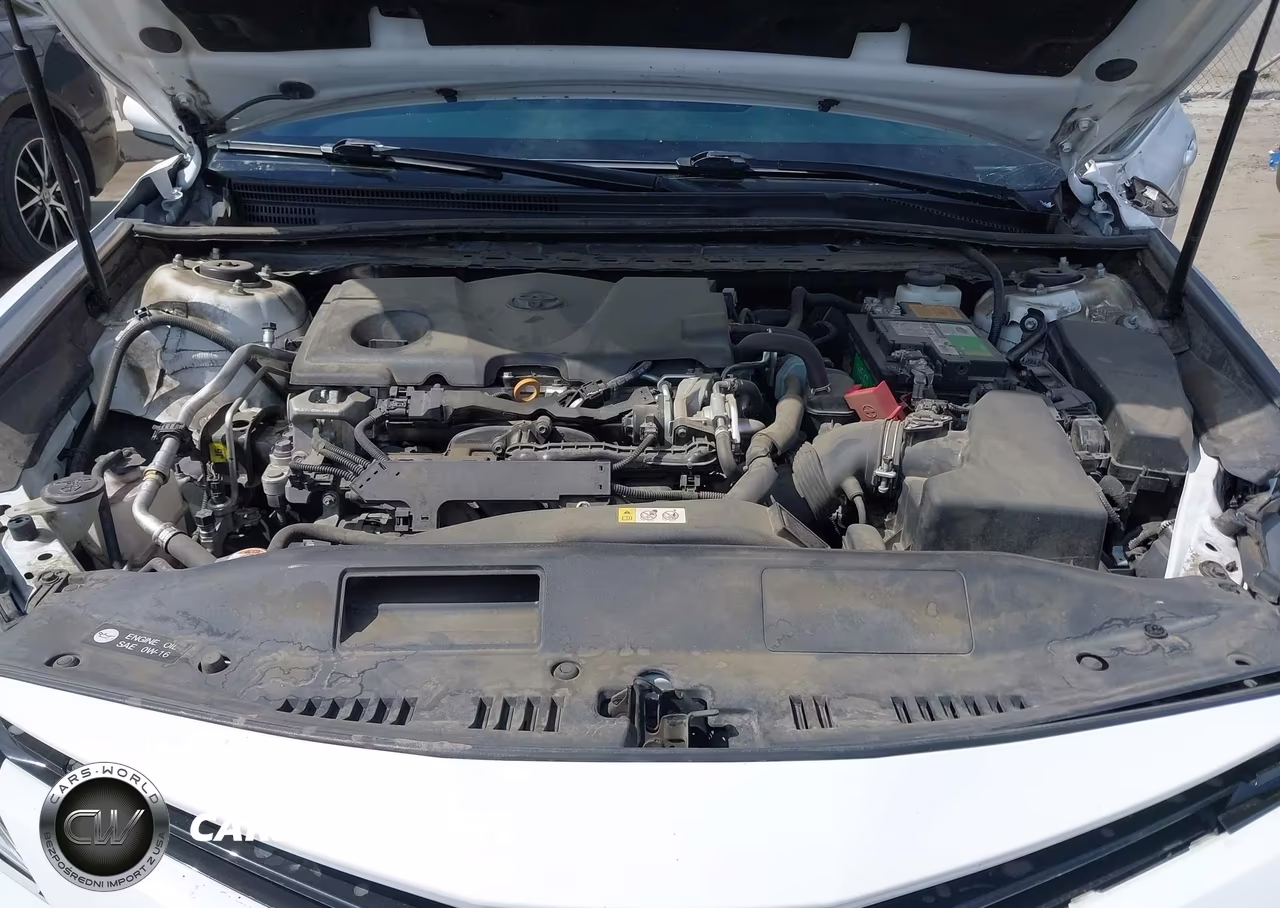 2020 Toyota Camry Le VIN:4T1C11AK8LU343552 - 10