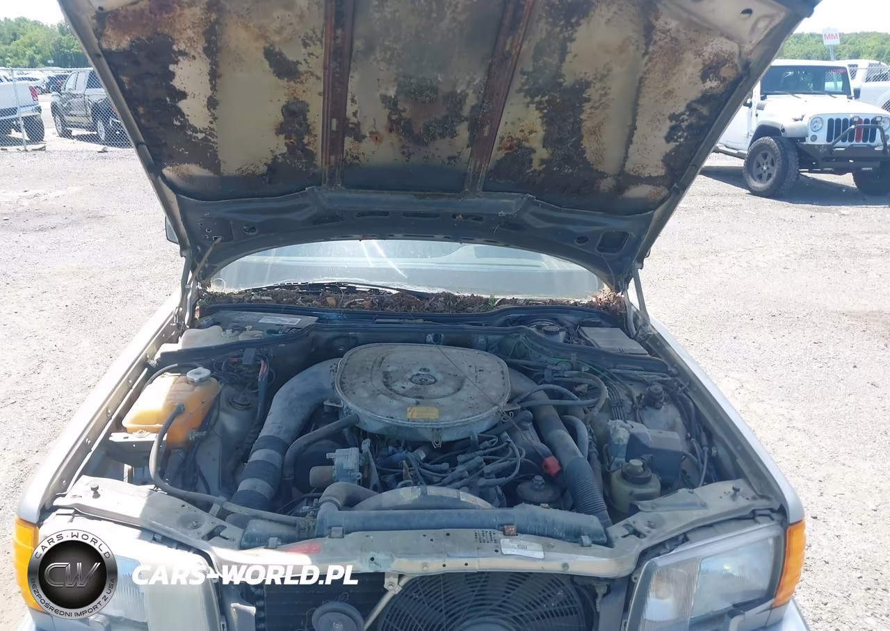 1988 Mercedes-Benz 560 Sel VIN:WDBCA39D4JA364370 - 10