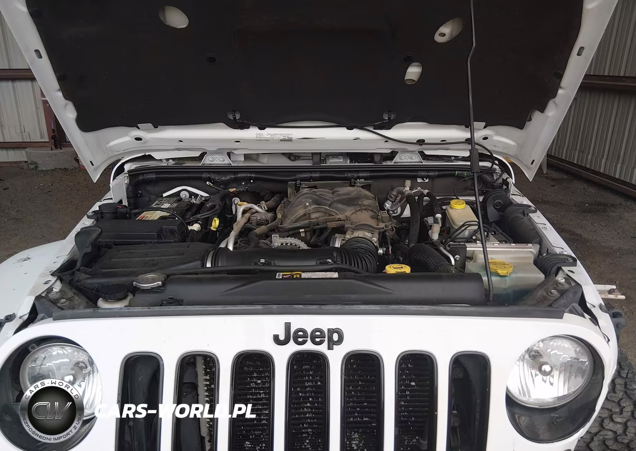 2015 Jeep Wrangler Unlimited Altitude VIN:1C4BJWEG6FL742585 - 10