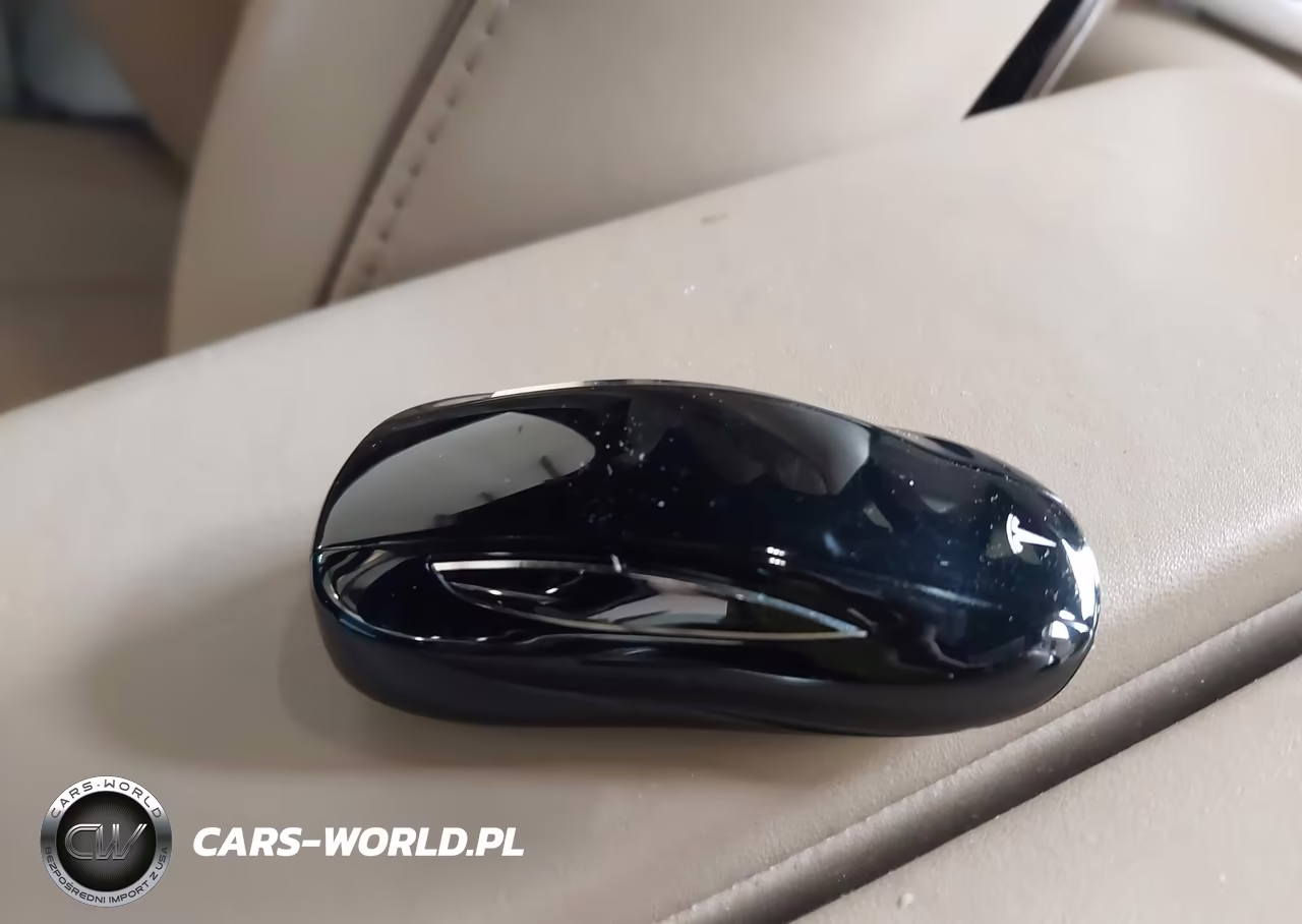 2016 Tesla Model X 60D-70D-75D-90D-P100D VIN:5YJXCBE29GF011991 - 10