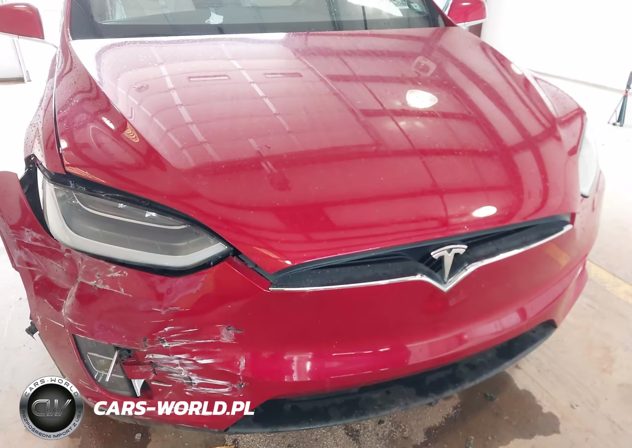 2016 Tesla Model X 60D-70D-75D-90D-P100D VIN:5YJXCBE29GF011991 - 6