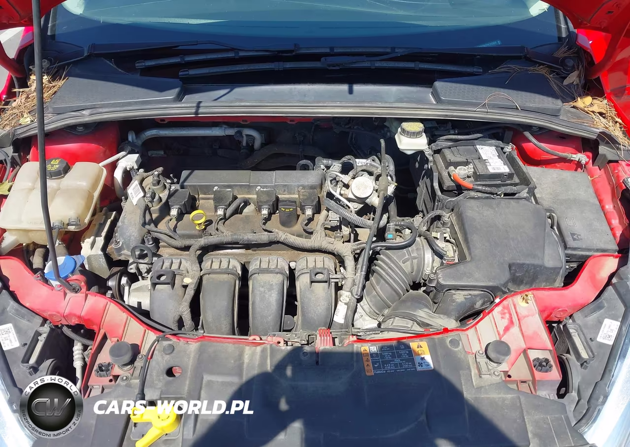 2017 Ford Focus Se VIN:1FADP3K27HL215579 - 10
