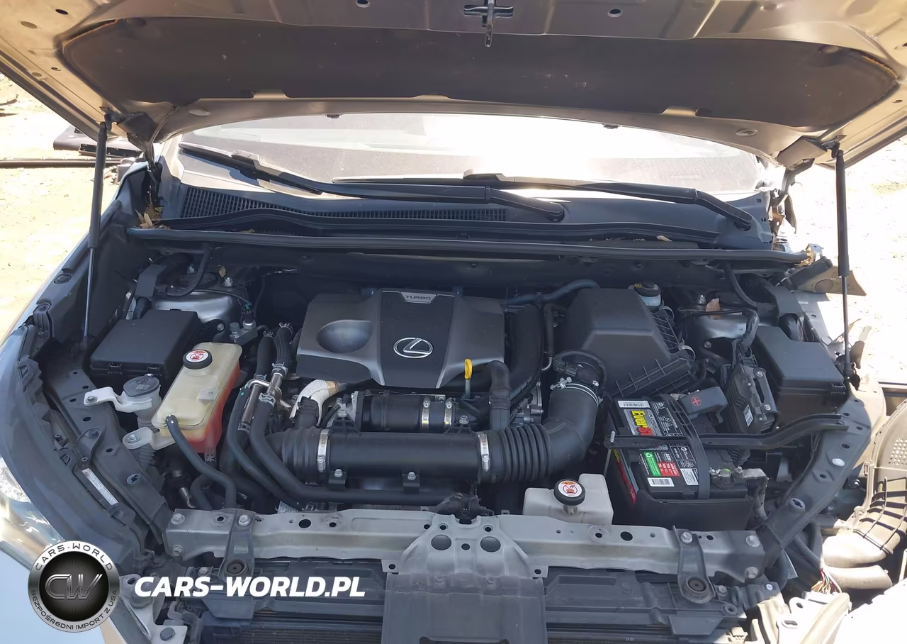 2019 Lexus Nx 300 F Sport VIN:JTJBARBZXK2180906 - 10