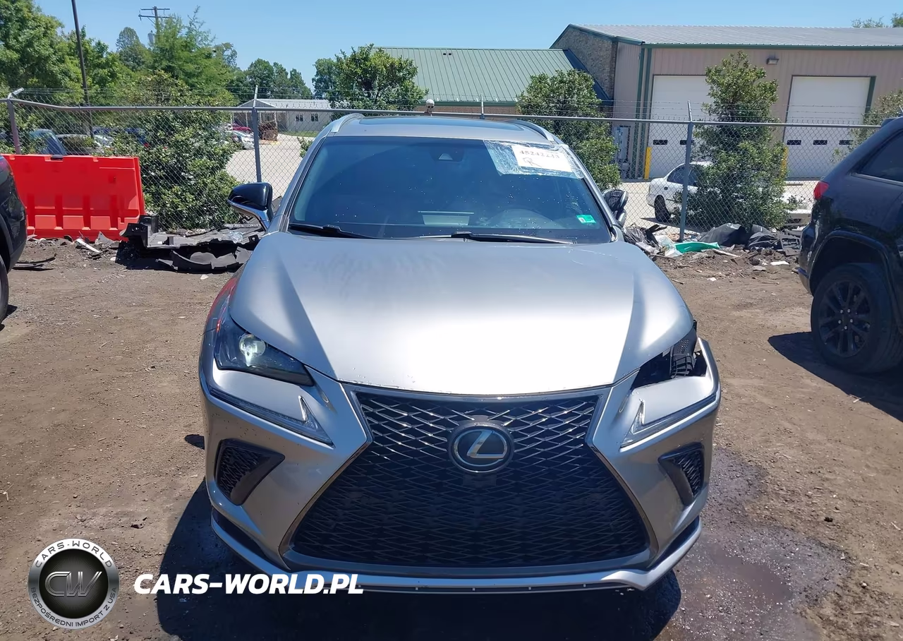 2019 Lexus Nx 300 F Sport VIN:JTJBARBZXK2180906 - 13