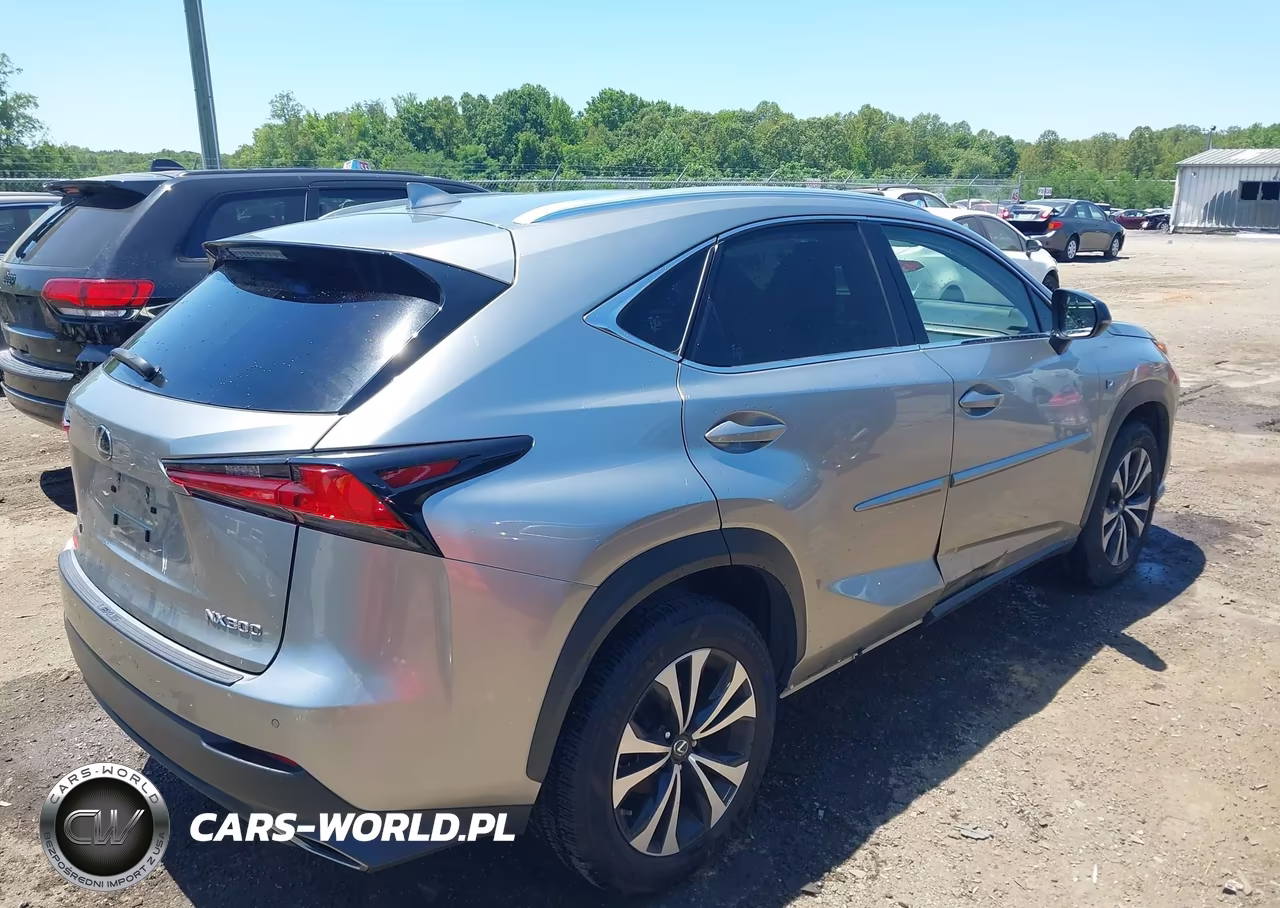 2019 Lexus Nx 300 F Sport VIN:JTJBARBZXK2180906 - 4